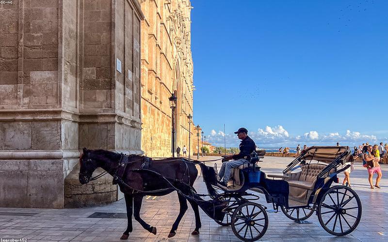 طائرة في مطار Palma de Mallorca